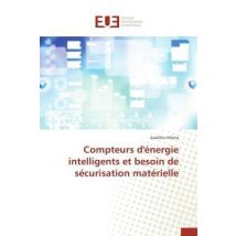 Compteurs D'Energie Intelligents Et Besoin De Securisation Materielle