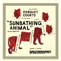 Parquet Courts