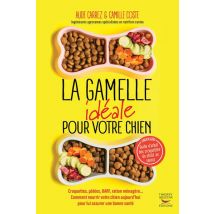 La Gamelle Idéale Pour Votre Chien : Croquettes, Patées, Barf, Ration Menagère... Faîtes Le Bon Choix