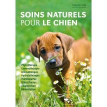 Soins Naturels Pour Le Chien