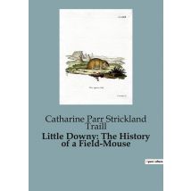 Little Downy: The History Of A Field-mouse : A Moral Tale Of Adventure And Consequence