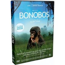 Bonobos