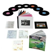Joe Strummer 002 : The Mescaleros Years