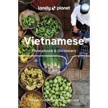 Vietnamese : Phrasebook & Dictionary (9e Édition)