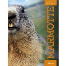 La Marmotte