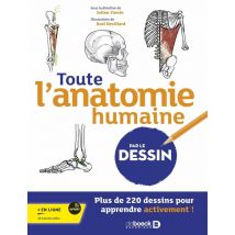 Apprendre L'Anatomie Du Corps Humain Par Le Dessin