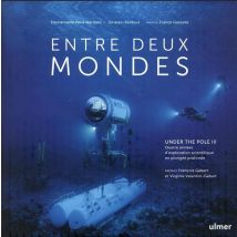 Entre Deux Mondes : Under The Pole Iii