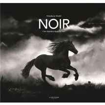 Noir : Une Histoire Dans La Nuit