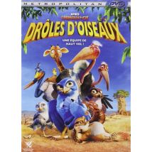 Drôles D'Oiseaux