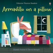 Armadillo On Pillow