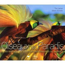 Oiseaux De Paradis