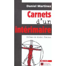 Carnets D'Un Intérimaire