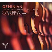 The Art Of Playing On The Violin