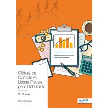 Clôture De Compte Et Liasse Fiscale Pour Débutants