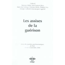 Les Assises De La Guérison - Actes Des Journées Psychosomatiques De Paris - 11 Et 12 Novembre 2006