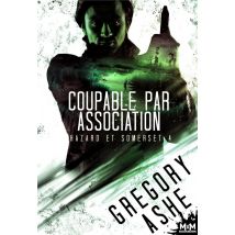 Hazard Et Somerset Tome 4 : Coupable Par Association