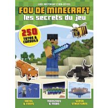 Fou De Minecraft
