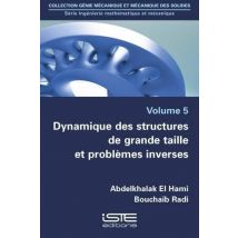 Dynamique Des Structures De Grande Taille Et Problèmes Inverses