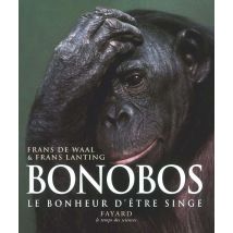 Bonobos