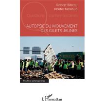 Autopsie Du Mouvement Des Gilets Jaunes