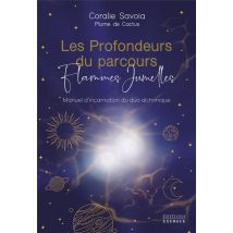 Les Profondeurs Du Parcours Flammes Jumelles : Manuel D'Incarnation Du Duo Alchimique