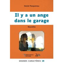 Il Y A Un Ange Dans Le Garage