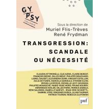 Transgression : Scandale Ou Nécessité