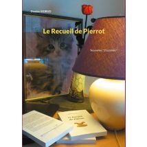 Le Recueil De Pierrot : Nouvelles zinzolines