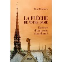 La Flèche De Notre-dame : Histoire D'Un Projet Abandonné
