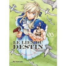 Le Lien Du Destin Tome 3