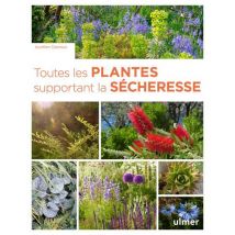 Toutes Les Plantes Supportant La Sécheresse