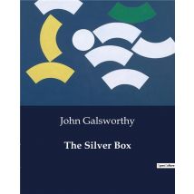 The Silver Box