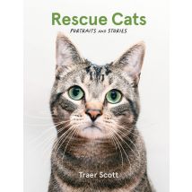 Rescue Cats