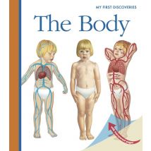 Body