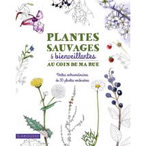 Plantes Sauvages Et Bienveillantes Au Coin De Ma Rue - Vertus Extraordinaires De 50 Plantes Ordinaires