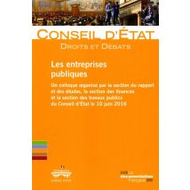 Les Entreprises Publiques - Un Colloque Organisé Par La Section Du Rapport Et Des Études, La Section Des Finances Et La Section Des Travaux Publics Du