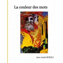 La Couleur Des Mots : La Plume Et Le Pinceau - - PAS DE MARQUE -