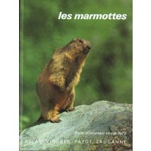 Marmottes