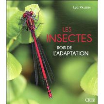 Les Insectes : Rois De L'Adaptation