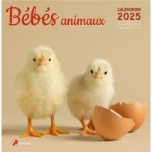 Bébés Animaux (édition 2025)