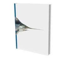 Gerhard Winkler : Fishs And Cephalopods - Cat. Die Photographische Sammlung / Fondation Sk Stiftung