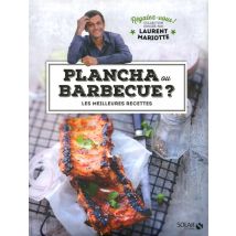 Regalez-vous : Plancha Ou Barbecue ?