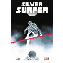 La Mort Du Silver Surfer