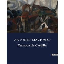 Campos De Castilla