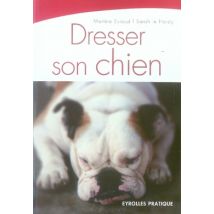 Dresser Son Chien