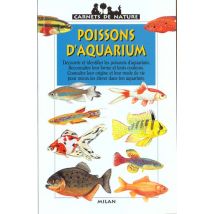 Les Poissons D'Aquarium