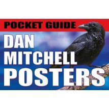 Posters Flyers