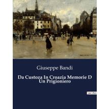 Da Custoza In Croazia Memorie D Un Prigioniero : Un Viaggio Di Sopravvivenza E Speranza Nel Cuore Del Risorgimento
