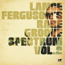 Rare Groove Spectrum Vol. 2