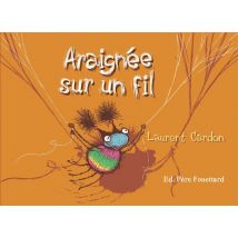 Araignée Sur Un Fil